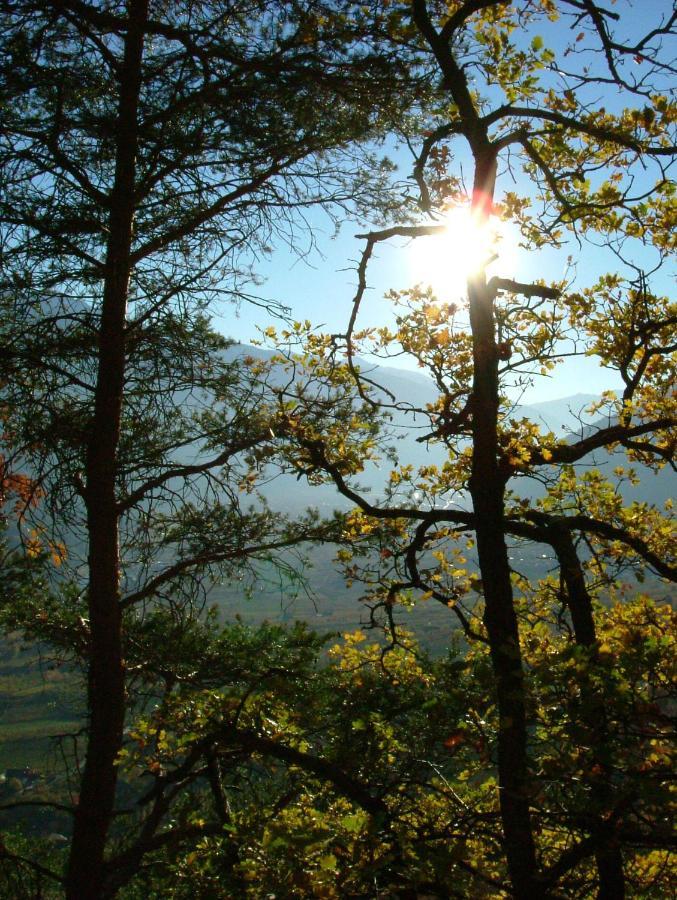 Wascherhof - Ferienwohnungen Oberhofer Мартелло Екстер'єр фото