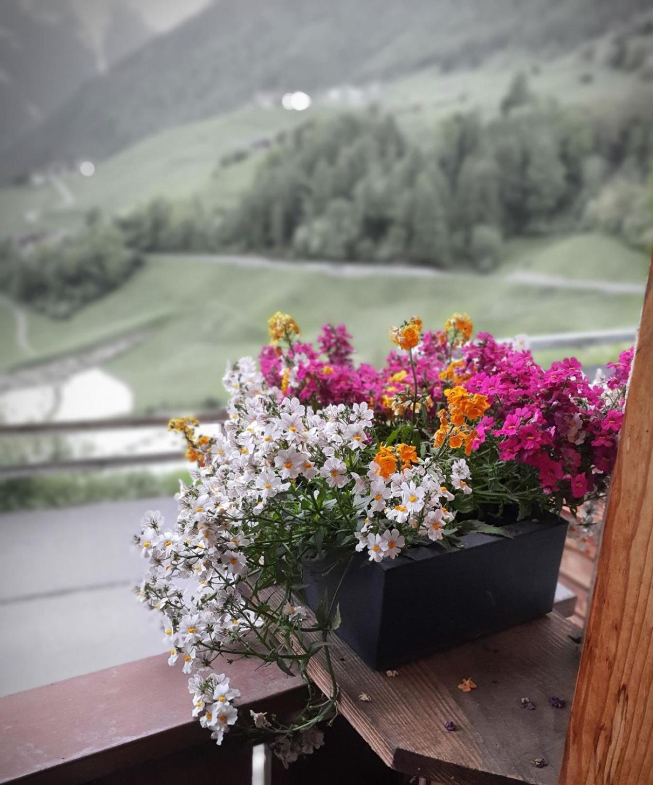 Wascherhof - Ferienwohnungen Oberhofer Мартелло Екстер'єр фото
